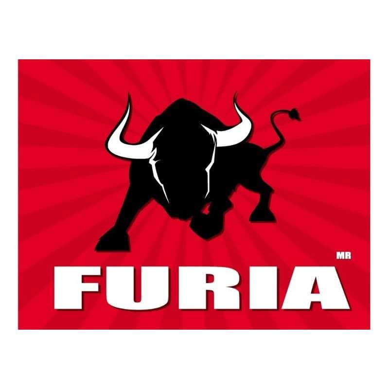 PE731P Pegamento De Contacto Amarillo, Furia, Lata De 1 Litro GRUPO TMG