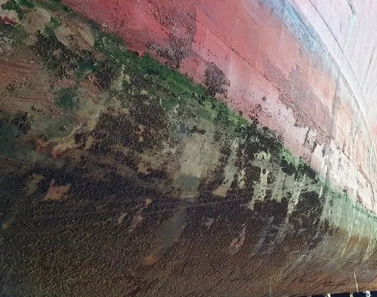 Antivegetativos Marinos